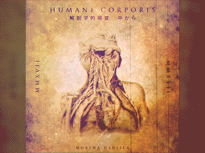 Humani Corporis.04 animation color design grunge illustration medical draw motion data music vintage visual vj