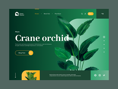 Green Painter - Web card green homepage plants ui ux website
