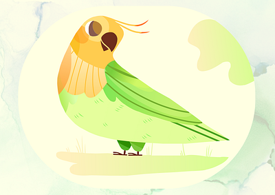 Parrot_Illustration design illustration sketch