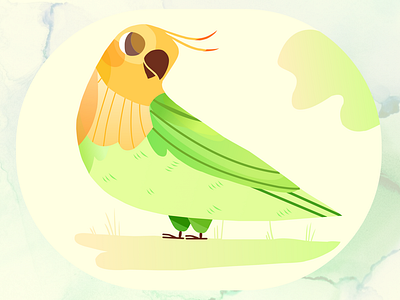 Parrot_Illustration