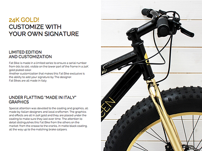 Fat Bike bike description detail gold product