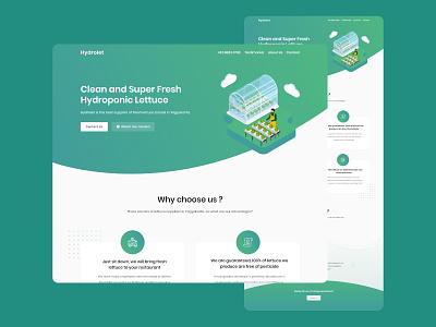 #Exploration - Hydroponic Lettuce exploration hydroponics illustration landing page lettuce minimal ui design webdesign