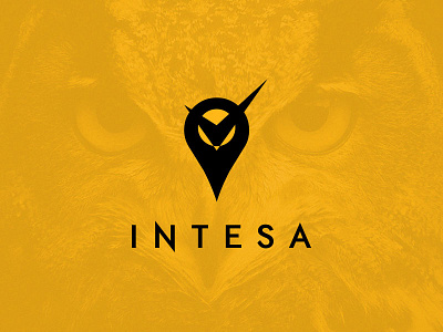 Intesa brand dainin solis geolocation logo managua nicaragua owl pin