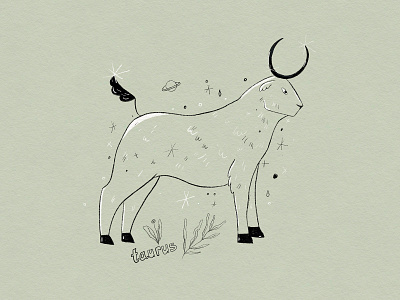 Taurus