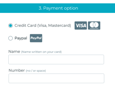 Payment process, where is this cvv number? cvv design payment form security sketch