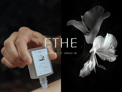 Vegan Perfume Branding art direction branding design graphic design