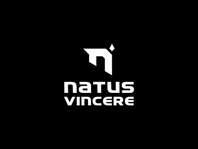 NAVI - Rebrand