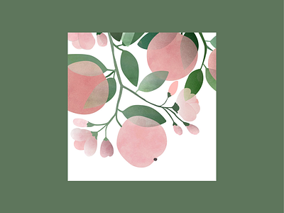 Peaches and flowers colorful design flat design gradient gradient color icon illustration illustrator minimal minimalism minimalist design nature nature illustration pastel poster texture textured vector
