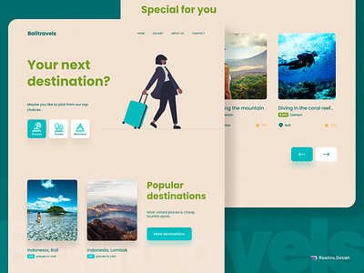 Travel UI-Landing Page design product design ui ui design