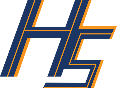 Hani Logo branding design illustration logo