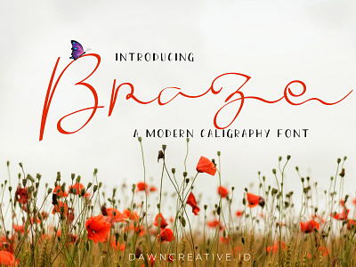 Braze - a Modern Calligraphy font branding calligraphy font display font font fontself handwritten font illustration script font typography