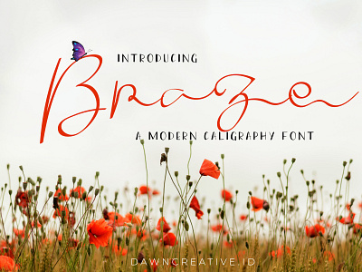 Braze - a Modern Calligraphy font