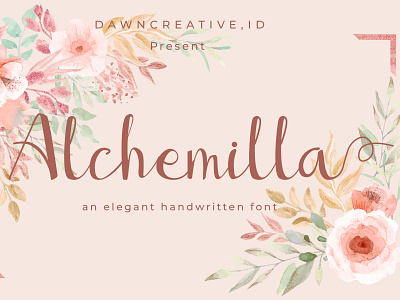 Alchemilla font branding design fontself handwritten font illustration script font typography