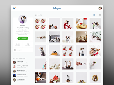Instagram Redesign clean flat instagram interface redesign ui ux web website yosemite