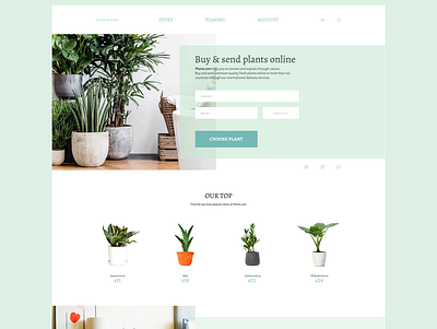 Some plants store. delivery gifts junior office plants store ui ui ux uidesign uiux webdesign website