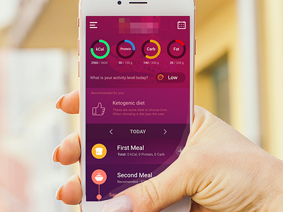 Diet App Interface dashboard diet mobile navigation ui ux