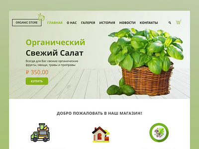 Web desing organic food branding design desing logo style typography web web desing