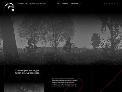 Landing Page WDS Raccoon branding design icon landing page style typography ux web web design webdesign website