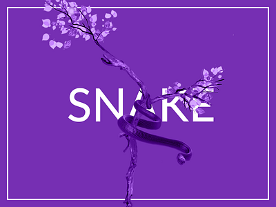 Snake article blog card cover design minimal mobile shadow snake ui ux