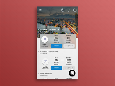 Home Screen-Airport Assistant App