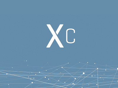 Xarxa Capital Brand Design branding logo typography
