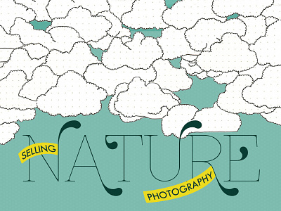Selling Nature Photography Cover Illustration cover education guide illustration magazine