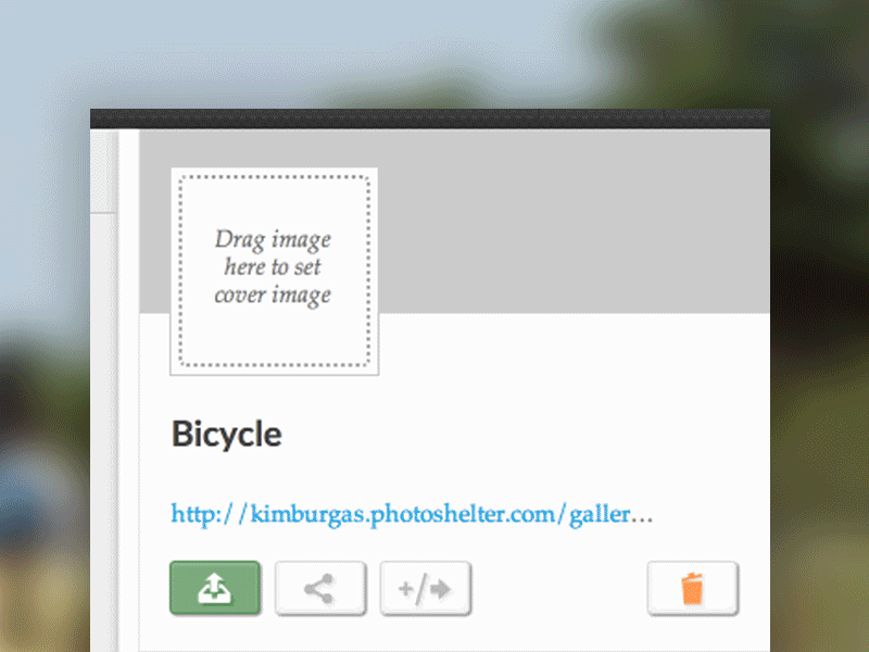 Gallery Section Redesign photography photoshelter ui ux web design