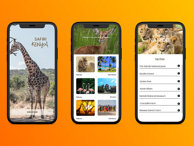 Safiri Kenya Travel App app design design designer figma kenya prototype travel app ui ux design ui design user experience user interface user interface design ux design uxuidesign