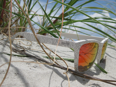 Artist Print Sunglasses beach indiegogo render