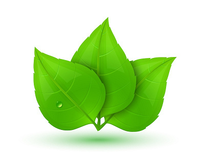 Spring is coming. Vector leaves green illustration leaves spring vector