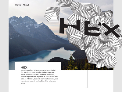Hex Home abstract brand branding design flat geometric graphic illustration logo logotype look and feel minimal texture type typography ui ux vector web website