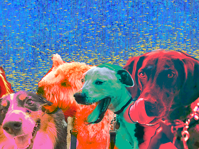 Tongues out brushes collage dog dogs layering photography photoshop