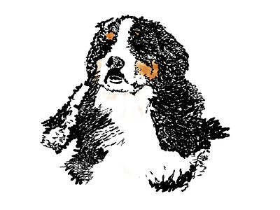 Snow pup bernese mountain dog brush dog dog art dogist drawing line photoshop sketch waffle
