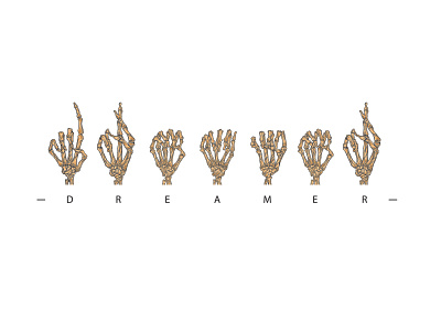 Dreamer skeleton