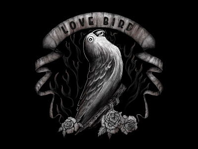 LoveBird adobe ilustrator art artpencil bird design graphic design illustration illustrator lovebirds