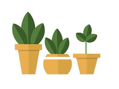 Plant varations design illustator illustration ui ui ux design ux ux design