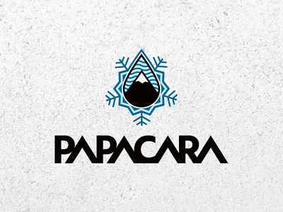 Papacara adventure team logo cold illustrator logo logo design logodesign logoidea logos mountain logo papacara wind