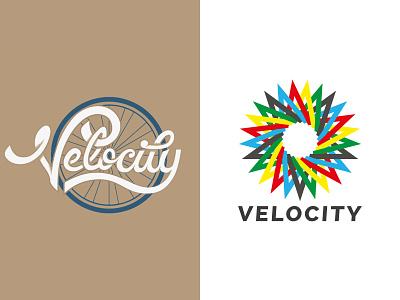 Velocity: Two Concepts