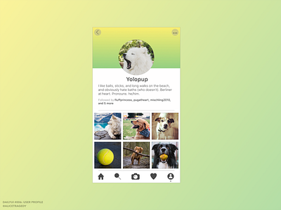 DailyUI 006: User profile