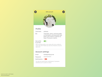 DailyUI 007: Settings