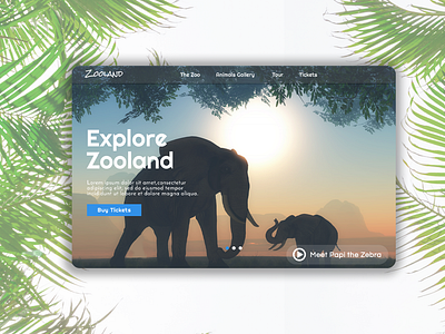 Zooland design figma ui ux webdesign