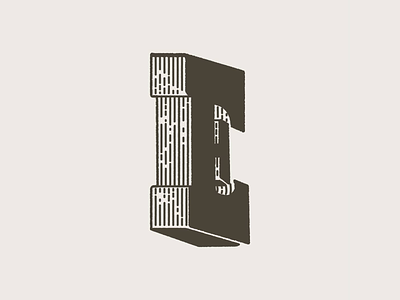 WoodE letter letterpress type typography woodtype