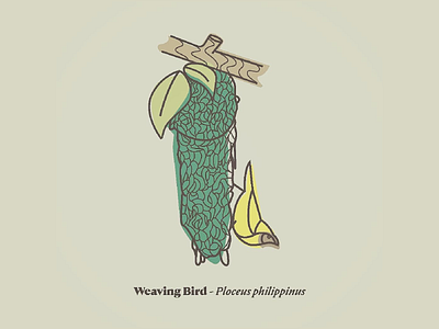 weaving bird 01
