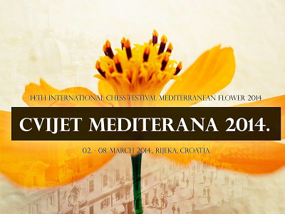 Mediterranean flower 2014 design dtp flyer flyer design poster typography