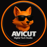 Avicut Digital Tech Studio