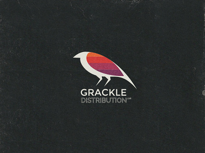 Grackle Distribution 70s austin tx bird clean grackle icon