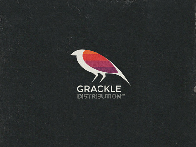 Grackle Distribution