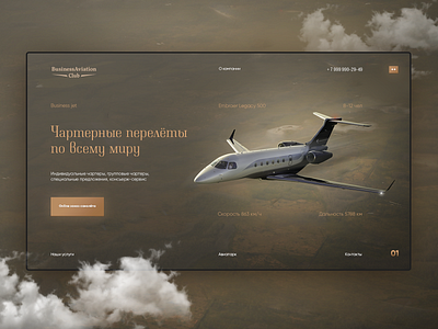 Business aviation club design interface interface design landing page one page ui ui ux ui elements uidesign uiux ux web web desgin web design webdesign