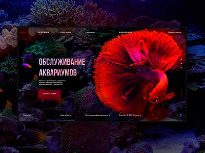 Services of ichthyologists design concept