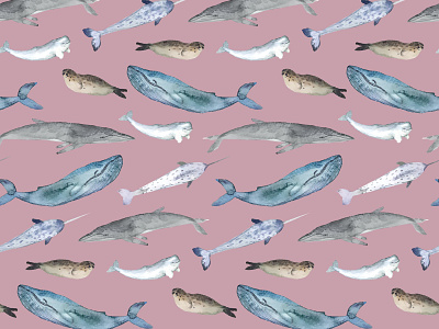 Pattern design for Islandic apparel brand cute femenine girly hand drawn pattern pattern design photoshop pink seals watercolor whales